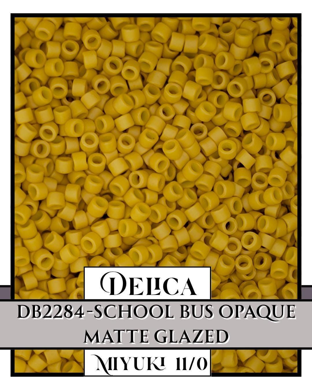 Miyuki Delica Seed Bead Set - 9 New Matte Glazed Delica Colors for Jewelry Making, Beadwork, Craft Projects (6 Grams Each)