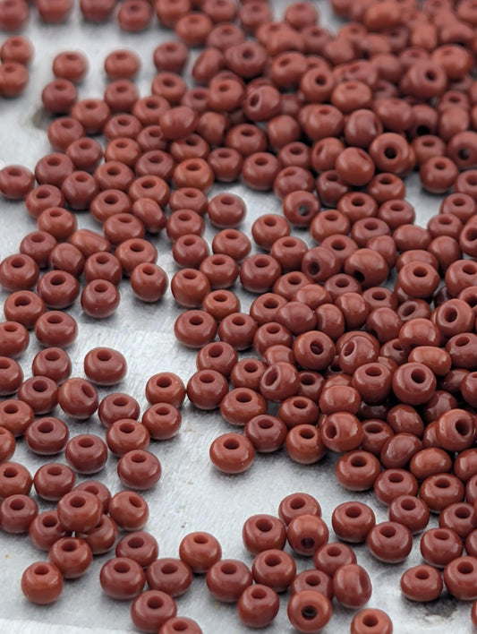 a close-up view of numerous small, round beads in a variety of colors, including shades of brown. The beads are scattered across a surface, creating a visually interesting and textured composition.