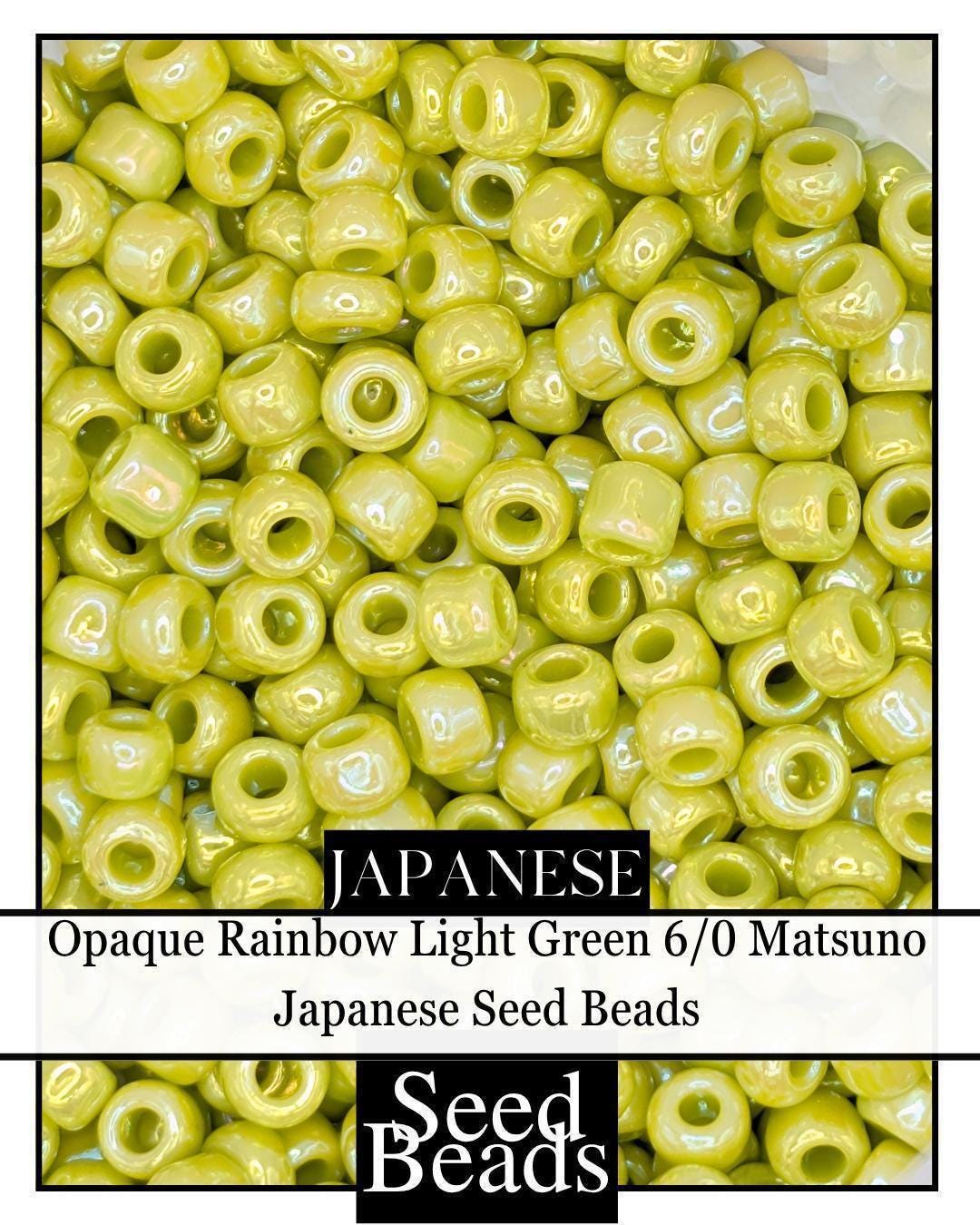 5911SB Opaque Rainbow Light Green 6/0 (15g pkg)