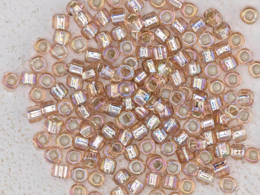 5884SB Silver Lined Translucent Rainbow Light Pink Round With Square Hole 6/0 (15g Pkg)