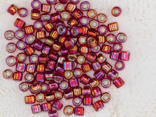 5113SB Silver-Lined Transparent Ruby Red 6/0 With Square Hole (15g Pkg)